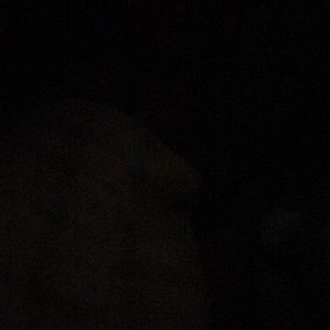 Meet your Posher, Hxneyglxw